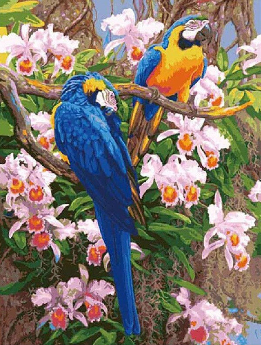 Gaira® Malování podle čísel Papoušci M1337