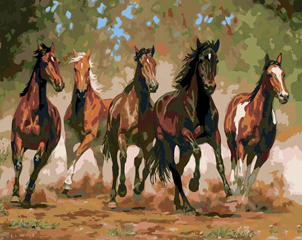 Gaira® Malování podle čísel Stádo koní M1497