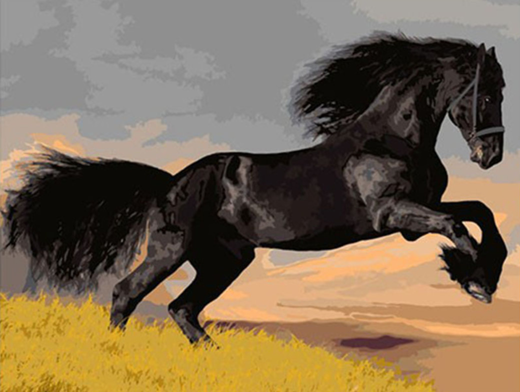 Gaira® Malování podle čísel Černý kůň M1498