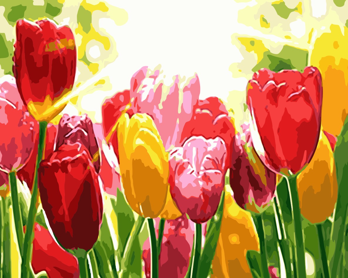 Gaira® Malování podle čísel Tulipány M312