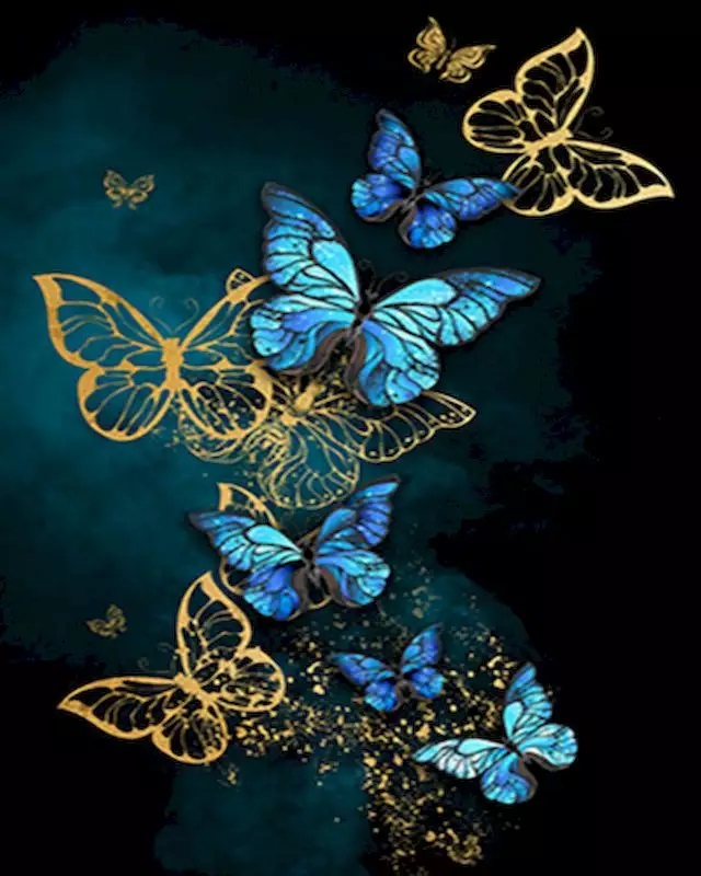 Gaira® Malování podle čísel Motýli M7213