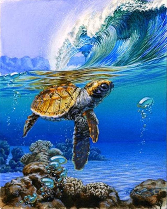 Gaira® Malování podle čísel Mořská želva M991468