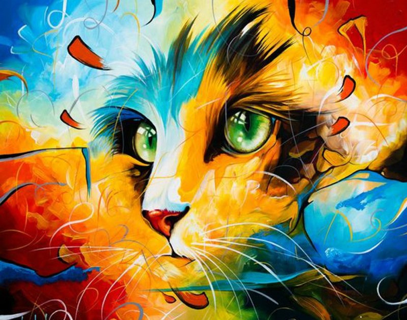 Gaira® Malování podle čísel Kočka M1537