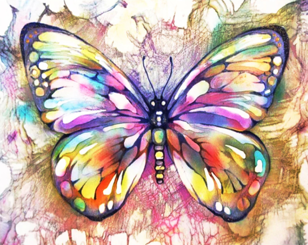 Gaira® Malování podle čísel Motýl M991854Z
