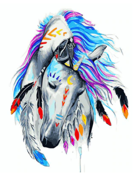 Gaira® Malování podle čísel Kůň Indiánů M991970