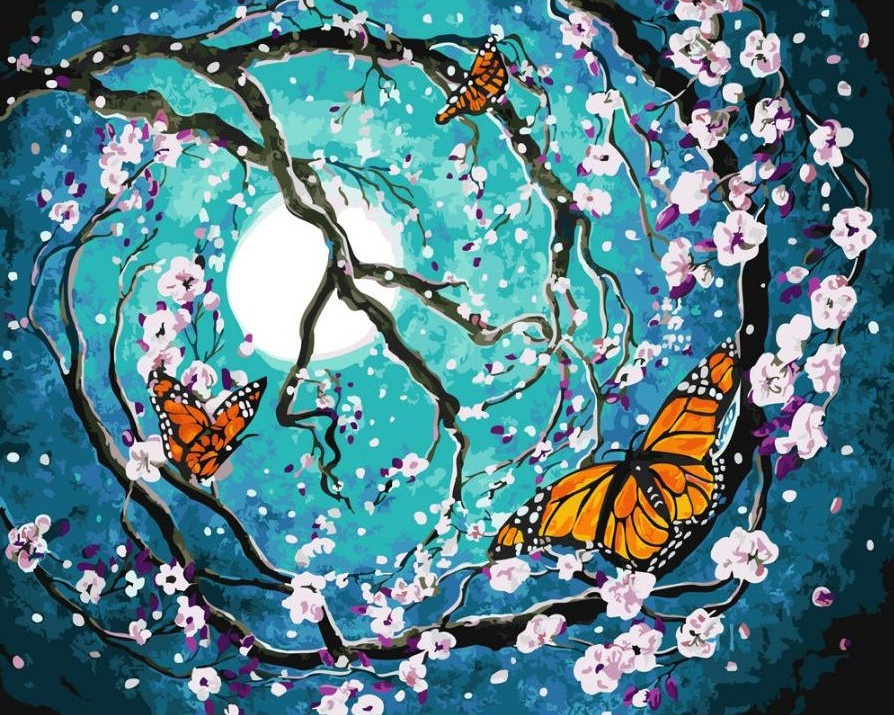 Gaira® Malování podle čísel Noční motýli M992757