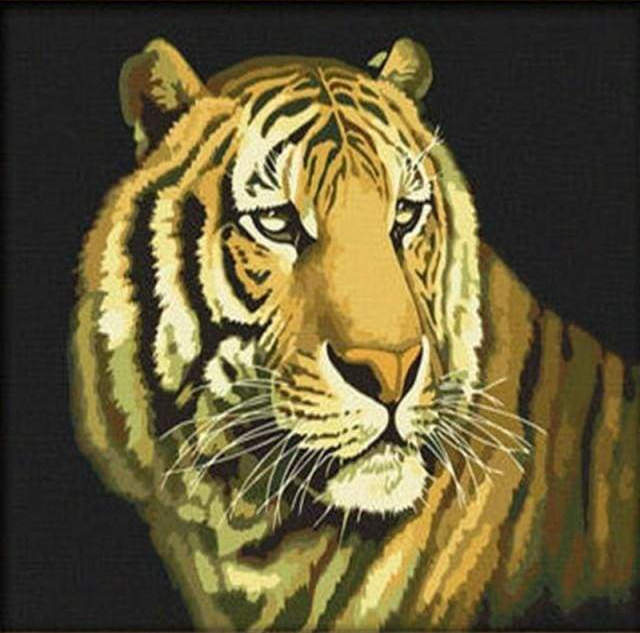 Gaira® Malování podle čísel Tygr M9578
