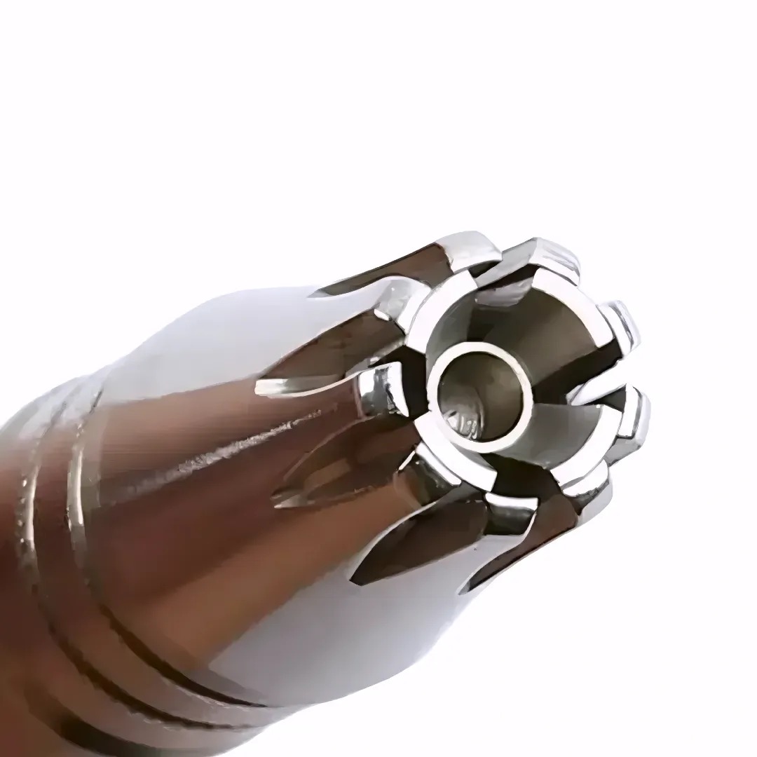 Gaira® Zastřihávač chloupků 41252