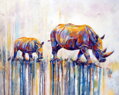 Malování podle čísel Nosorožci M991407