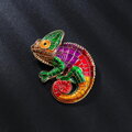 Brož Chameleon 326025