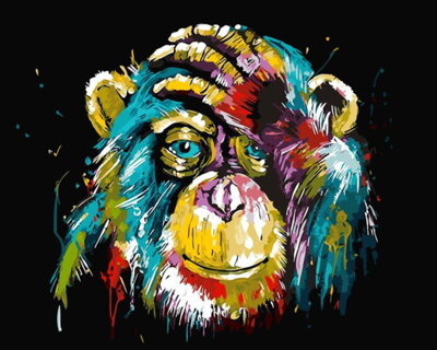 Malování podle čísel Šimpanz M99046