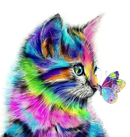 Malování podle čísel Kočička M3165YZ