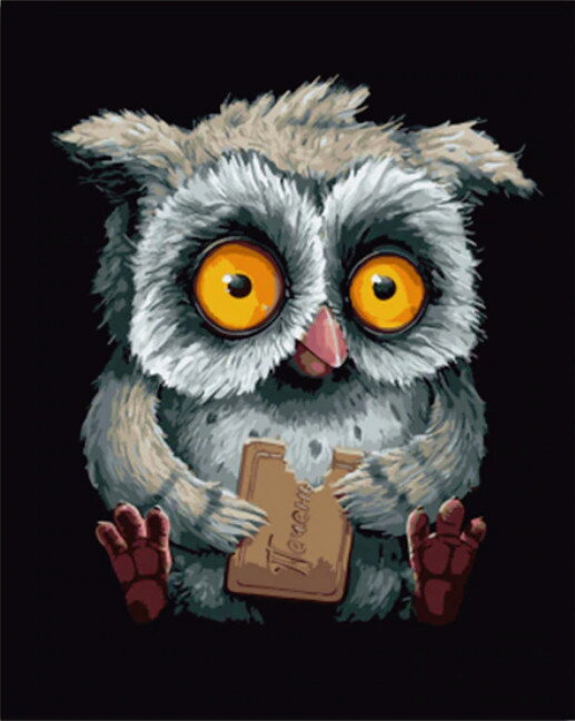 Malování podle čísel Sova M991143